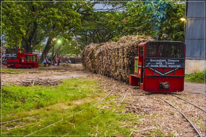 Wulangan 3.1 Cangkriman